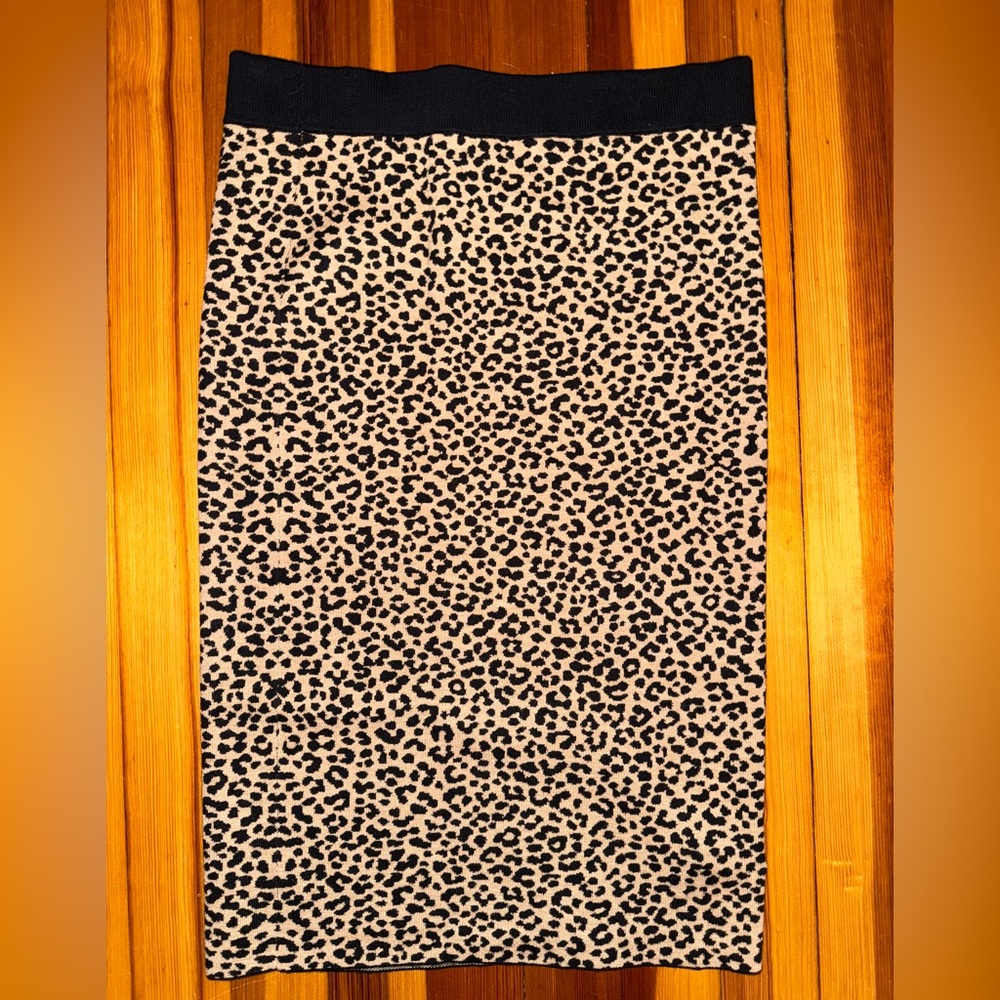 NWT Ann Taylor Skirt